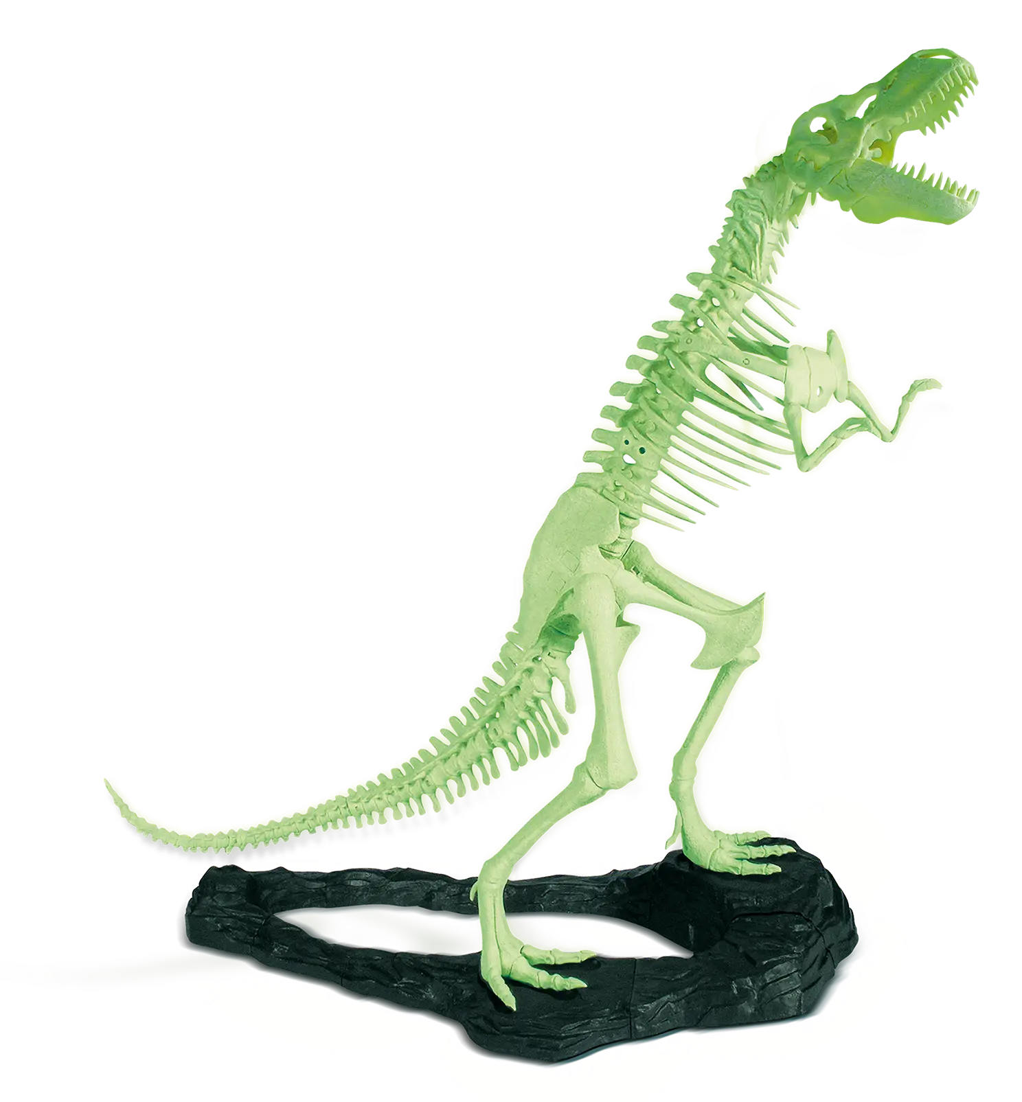 esqueleto02 esqueleto02