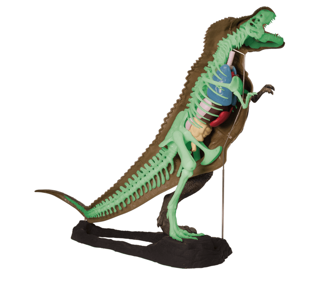 esqueleto05.02 esqueleto05.02